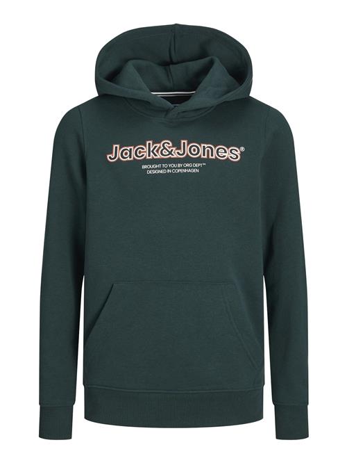 Jack & Jones Junior Sweatshirt 'JORLakewood'  grøn / rød / sort