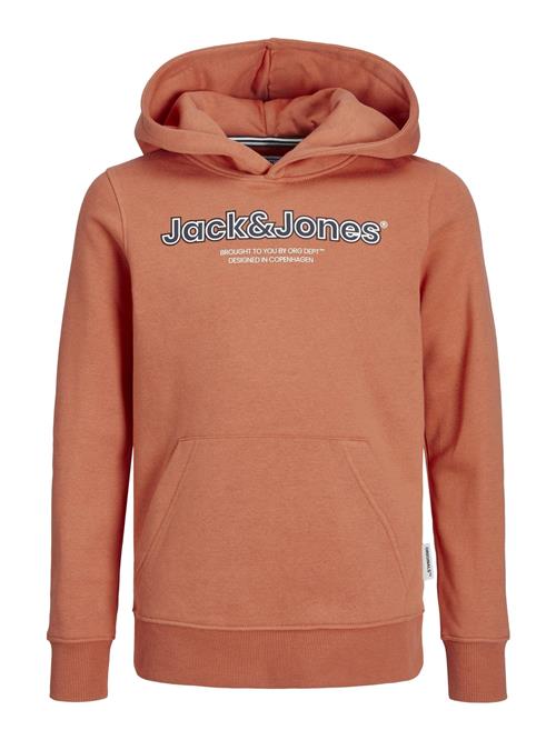 Jack & Jones Junior Sweatshirt 'Lakewood'  hummer / sort / hvid