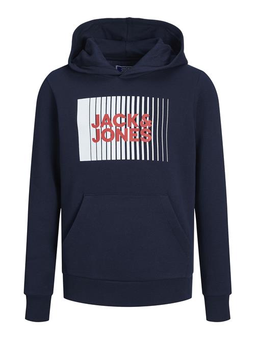 Jack & Jones Junior Sweatshirt  marin / melon / hvid