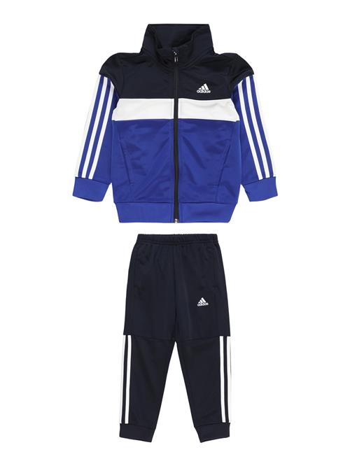 ADIDAS SPORTSWEAR Træningsdragt 'Tiberio'  royalblå / sort / hvid