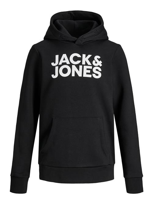 Jack & Jones Junior Sweatshirt  sort / hvid