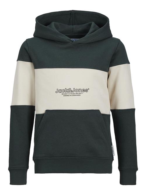 Jack & Jones Junior Sweatshirt 'Lakewood'  mørkegrøn / sort / hvid