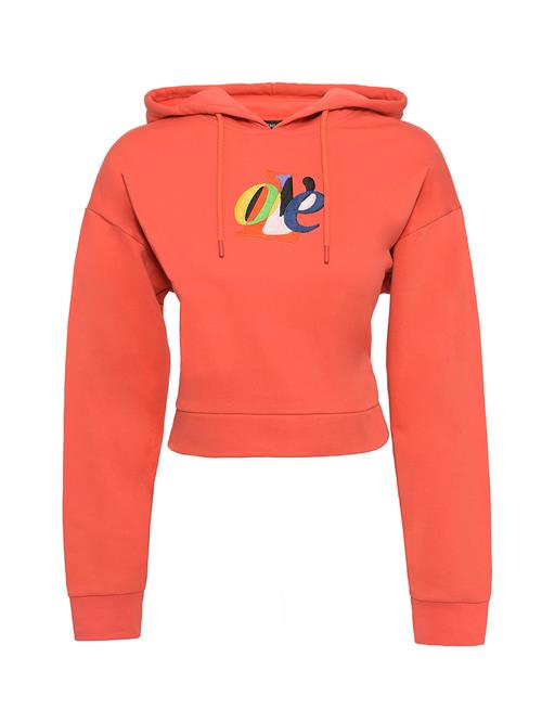 FRESHLIONS Sweatshirt  blandingsfarvet / mørkeorange