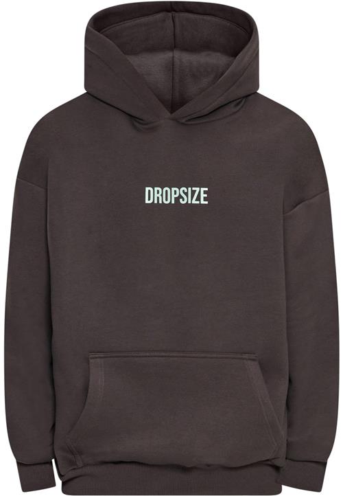 Dropsize Sweatshirt  himmelblå / choko / hummer