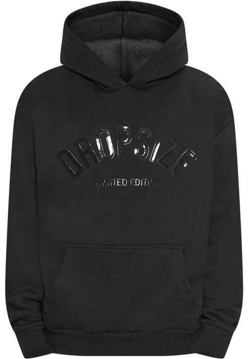 Dropsize Sweatshirt  sort