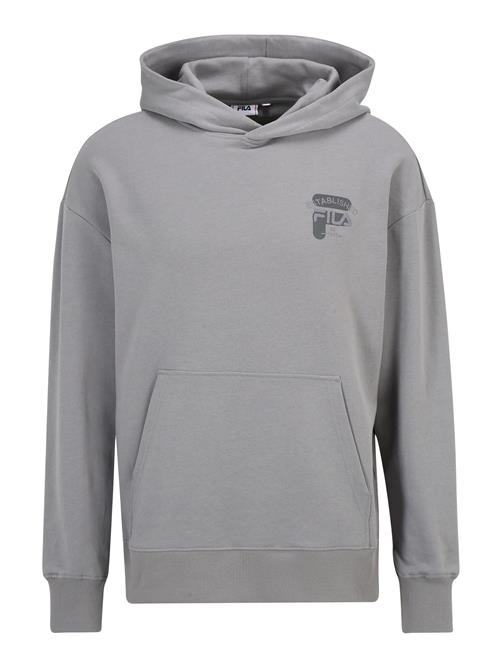 FILA Sweatshirt 'BAAR'  grå / mørkegrå