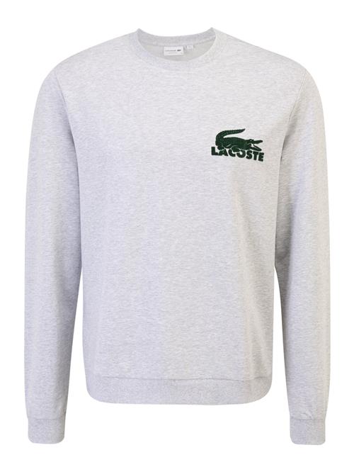 LACOSTE Sweatshirt  grå-meleret / mørkegrøn