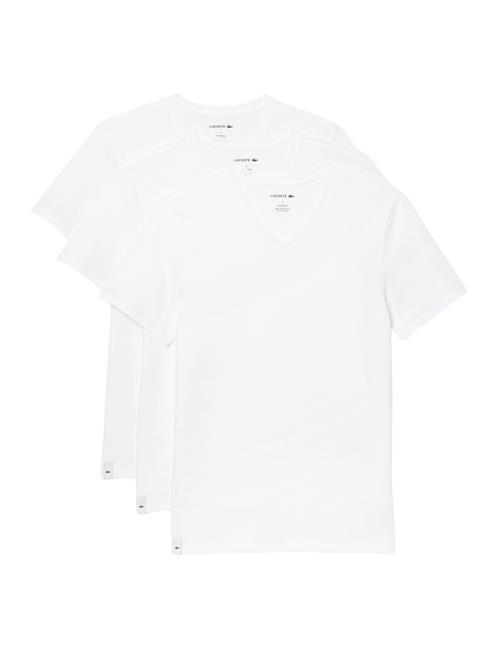 Se LACOSTE Bluser & t-shirts  offwhite ved About You