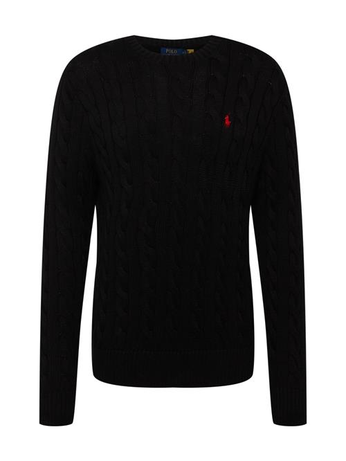 Polo Ralph Lauren Pullover 'Driver'  sort