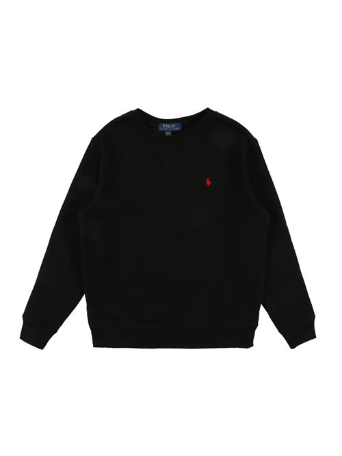 Polo Ralph Lauren Sweatshirt  sort