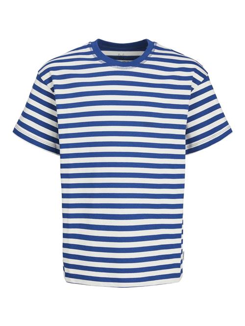 Jack & Jones Junior Shirts  blå / hvid