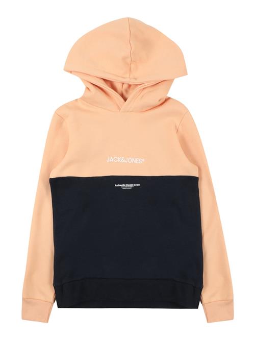 Jack & Jones Junior Sweatshirt 'Ryder'  natblå / abrikos