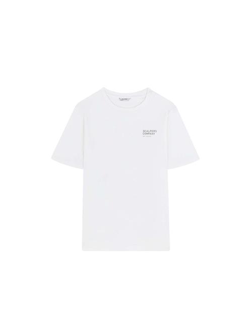 Scalpers Bluser & t-shirts 'New Stroke'  royalblå / grå / offwhite