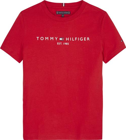 TOMMY HILFIGER Shirts  navy / rød / hvid