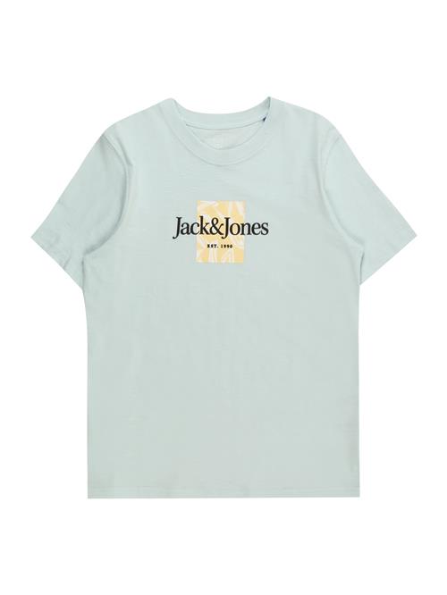 Jack & Jones Junior Shirts 'Lafayette'  lyseblå / fersken / hvid