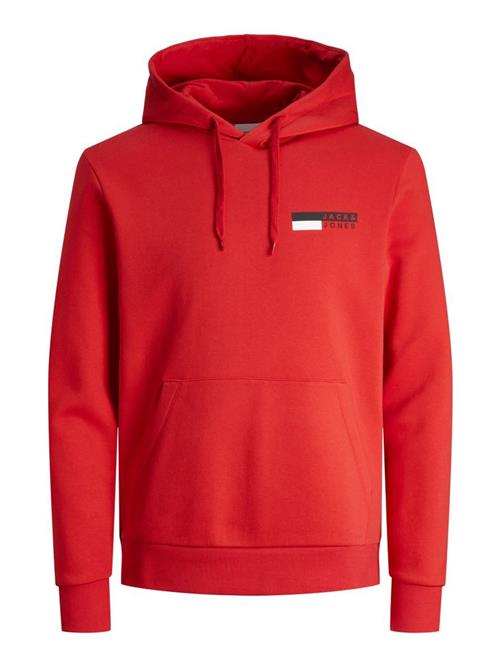 JACK & JONES Sweatshirt  grå / rød / hvid