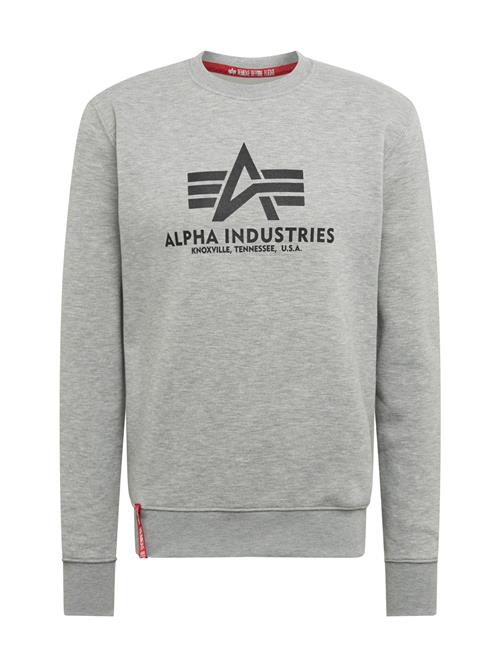 ALPHA INDUSTRIES Sweatshirt  antracit / lysegrå / rød