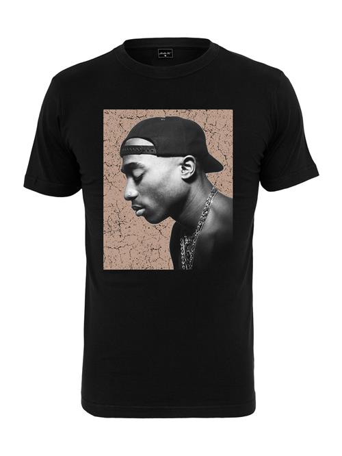 Mister Tee Bluser & t-shirts 'Tupac'  beige / grå / sort