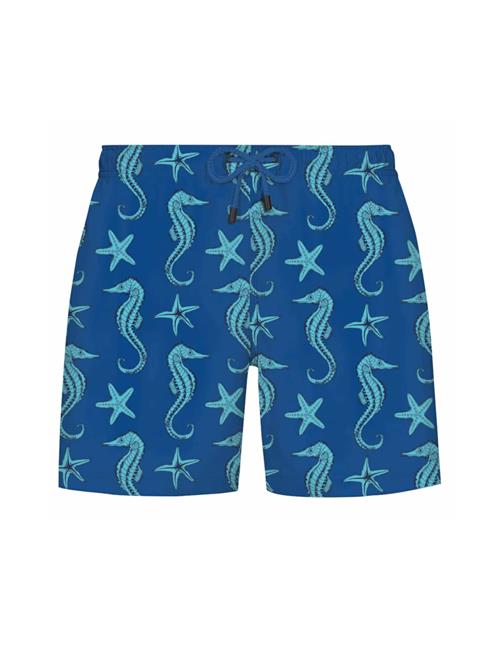 WESTMARK LONDON Badeshorts  blå / aqua