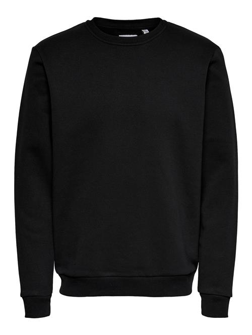 Se Only & Sons Sweatshirt 'Ceres'  sort ved About You