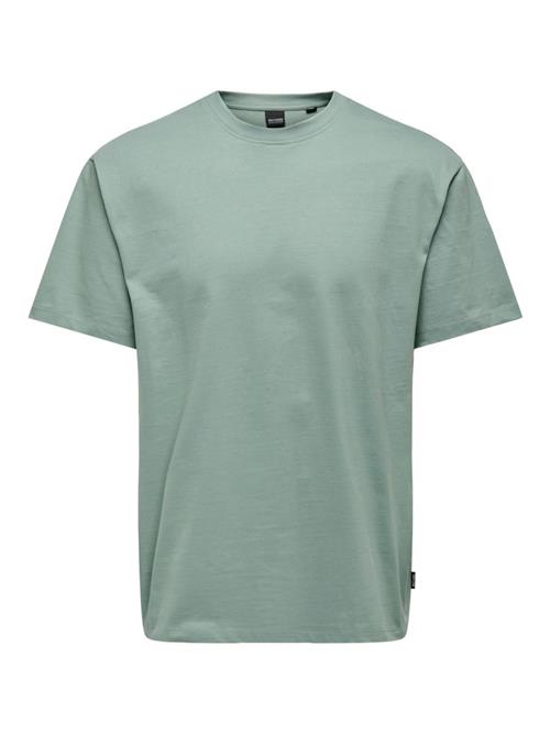 Only & Sons Bluser & t-shirts 'Fred'  jade