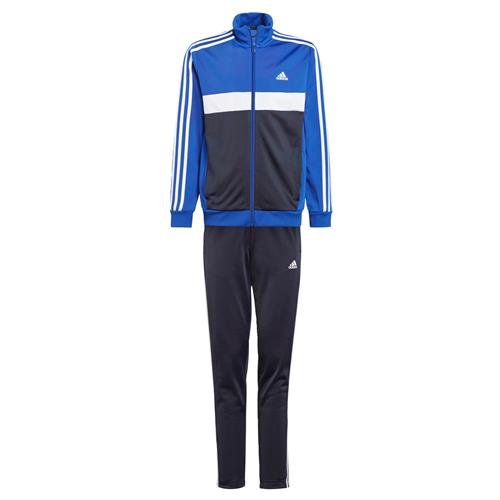 ADIDAS PERFORMANCE Træningsdragt 'Essentials Tiberio'  royalblå / sort / hvid