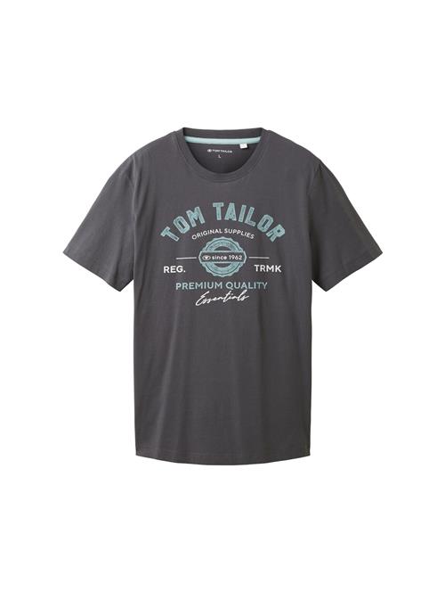 TOM TAILOR Bluser & t-shirts  turkis / lysegrå / mørkegrå