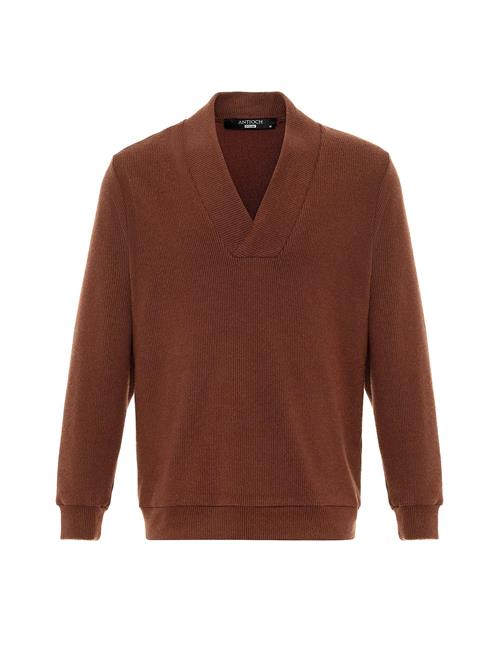 Se Antioch Pullover  brun ved About You