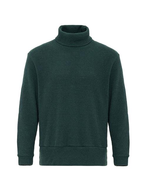 Antioch Pullover  grøn