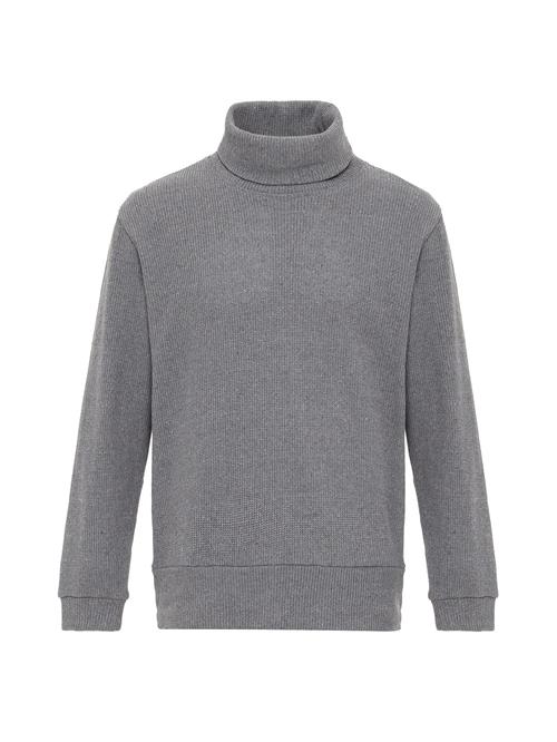 Se Antioch Pullover  grå ved About You