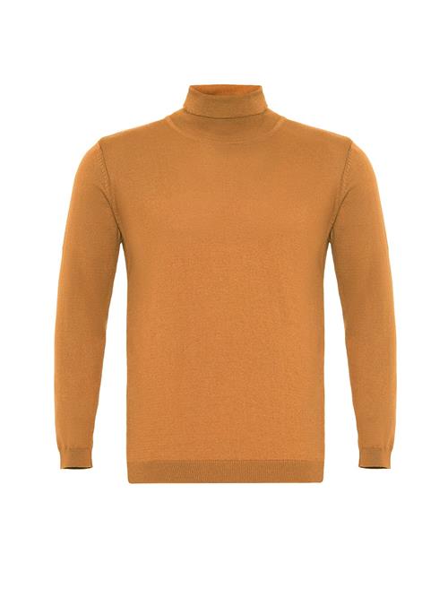 Se Antioch Pullover  orange ved About You