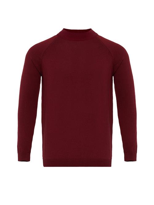 Dandalo Pullover  burgunder