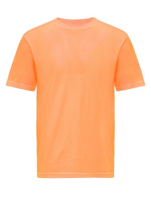 Antioch Bluser & t-shirts  orange