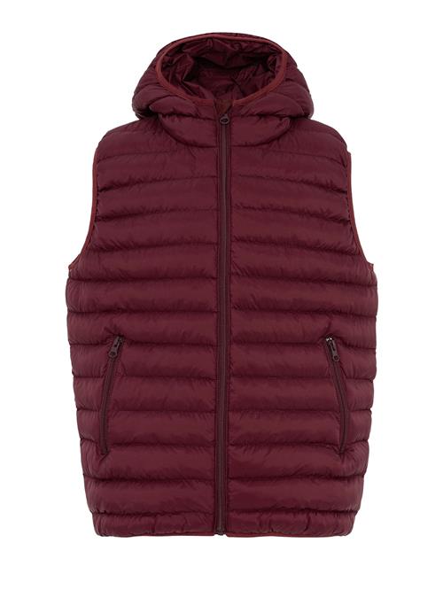 Daniel Hills Vest  bordeaux