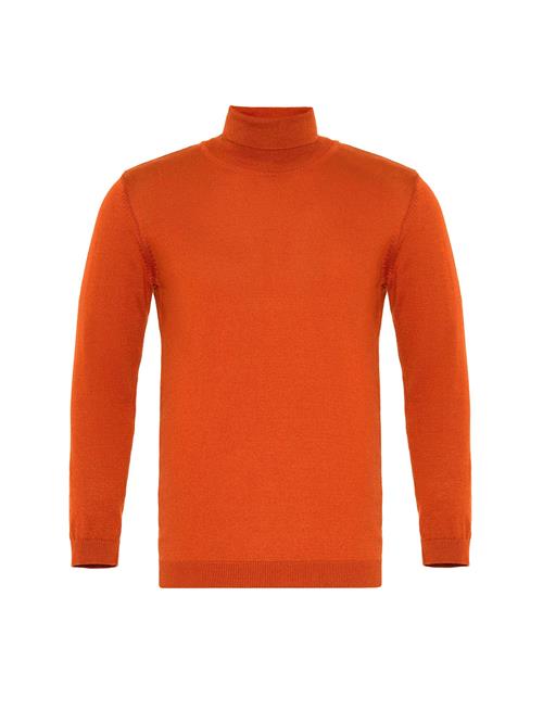 Dandalo Pullover  orange