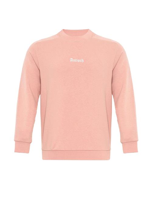 Antioch Sweatshirt  pink / hvid