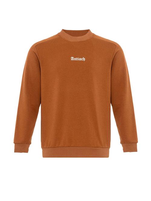 Se Antioch Sweatshirt  brun / hvid ved About You