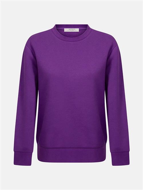 Antioch Sweatshirt  beige / lilla / sort