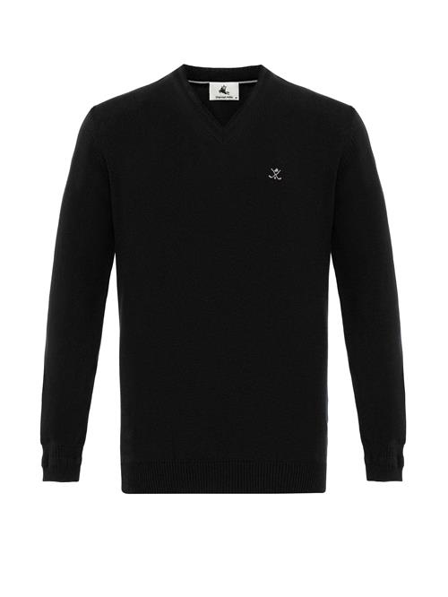 Se Daniel Hills Pullover  sort ved About You