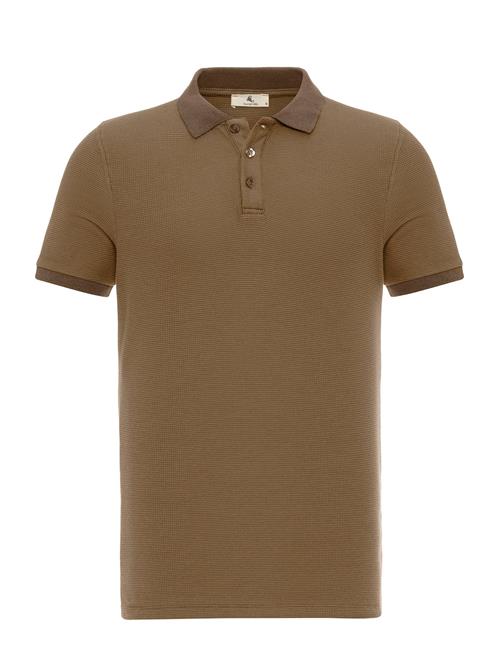 Daniel Hills Bluser & t-shirts  cappuccino