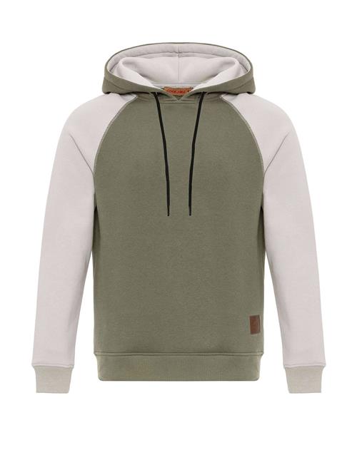 Cool Hill Sweatshirt  brun / lysegrå / khaki