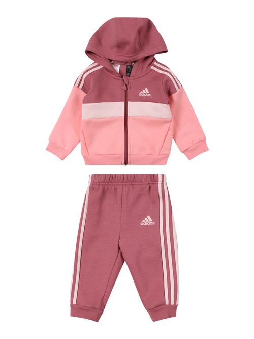 Se ADIDAS SPORTSWEAR Træningsdragt  lyserød / lys pink / melon ved About You