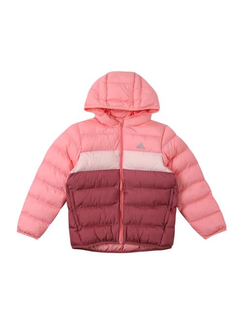 ADIDAS SPORTSWEAR Udendørsjakke  bær / lyserød / pastelpink