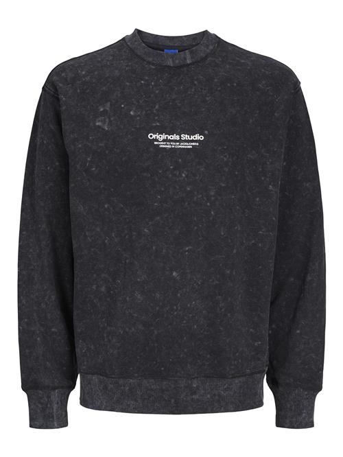 Jack & Jones Junior Sweatshirt  antracit / hvid