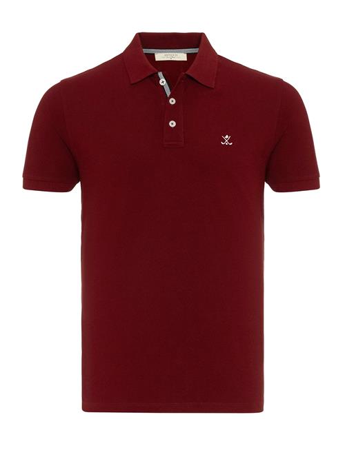 Antioch Bluser & t-shirts  bordeaux / hvid