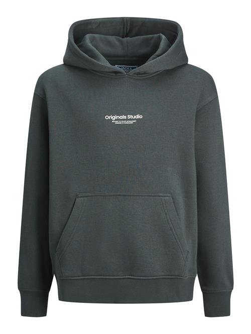 Jack & Jones Junior Sweatshirt 'JORVESTERBRO'  gran / hvid