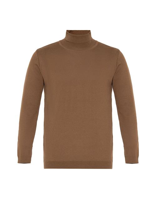 Dandalo Pullover  brun