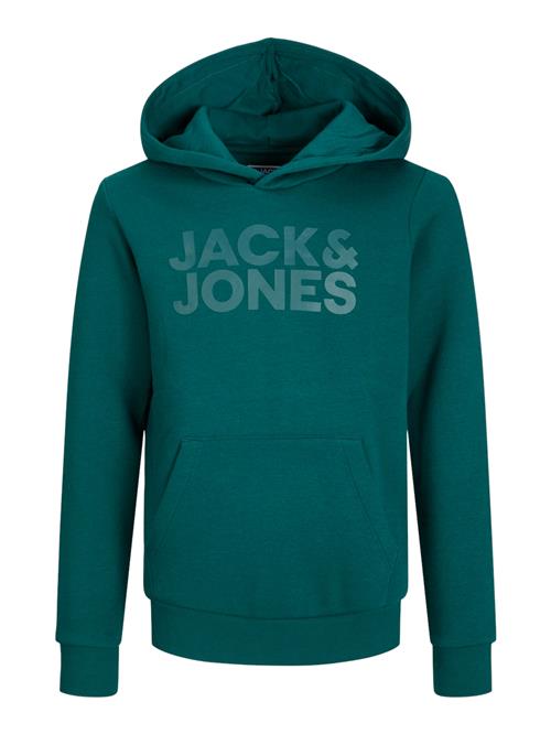 Se Jack & Jones Junior Sweatshirt  smaragd ved About You