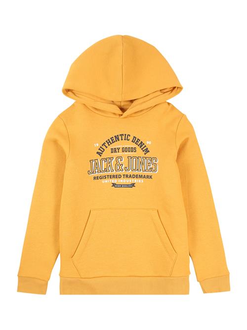 Jack & Jones Junior Sweatshirt  gylden gul / violetblå / hvid