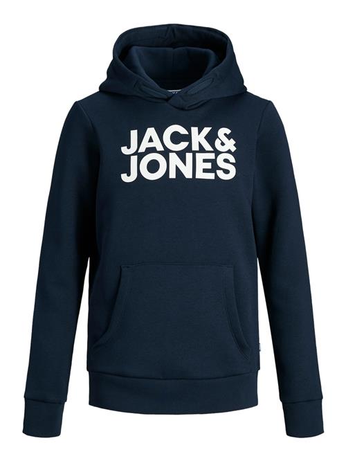 Jack & Jones Junior Sweatshirt  navy / hvid